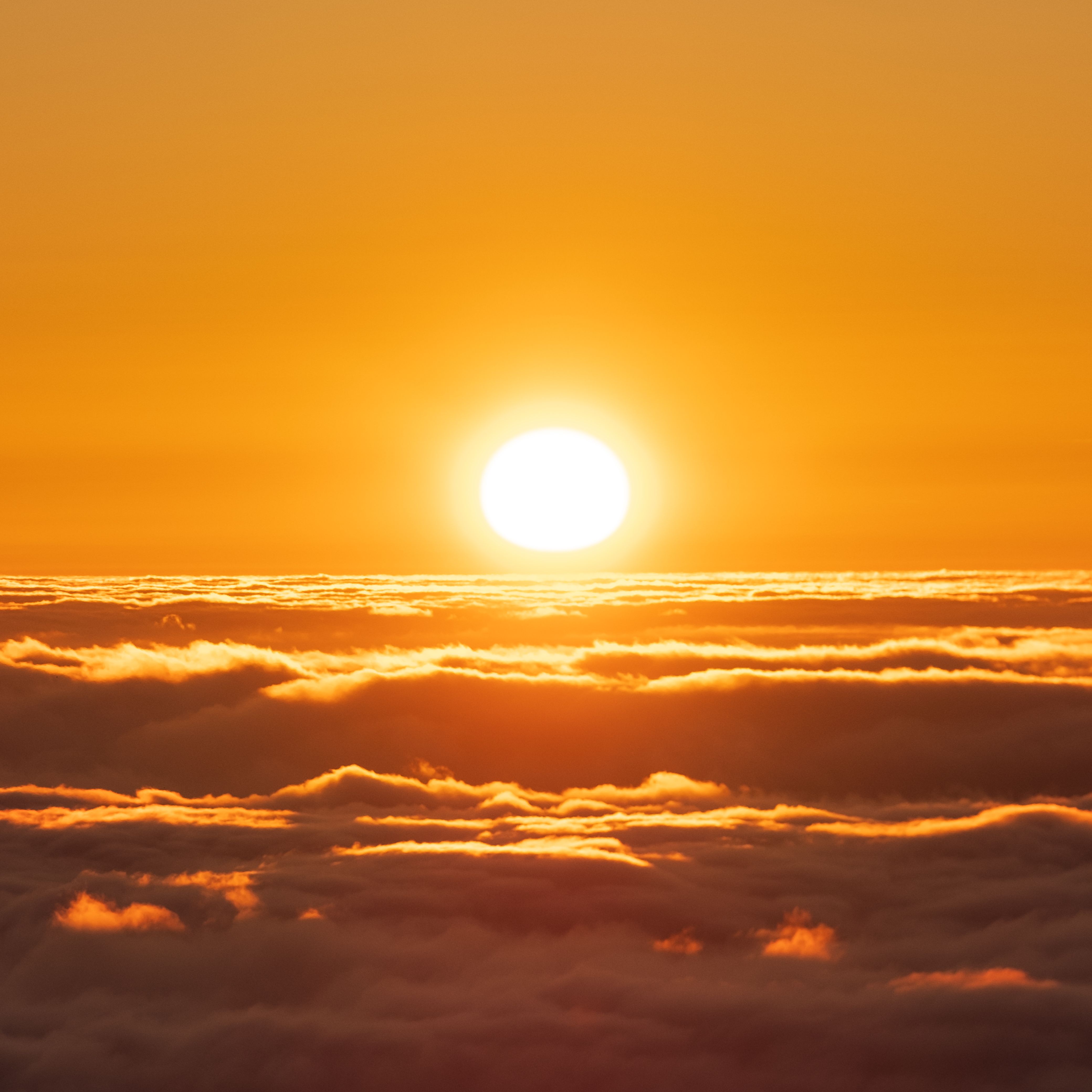 A stunning sunrise with golden tones illuminating the clouds below, creating a serene atmosphere.