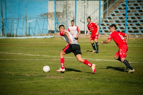 Foto profissional grátis de ação, adulto, amador