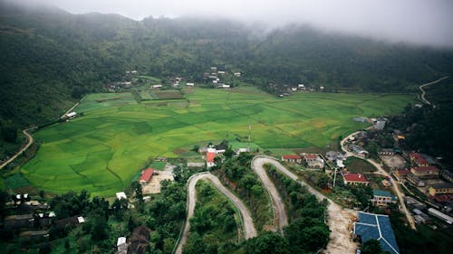 Foto Aérea Del Campo De Hierba Verde