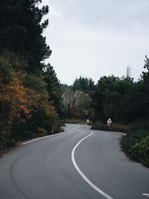 Free A peaceful winding road through an autumn forest, ideal for travel themes. Stock Photo
