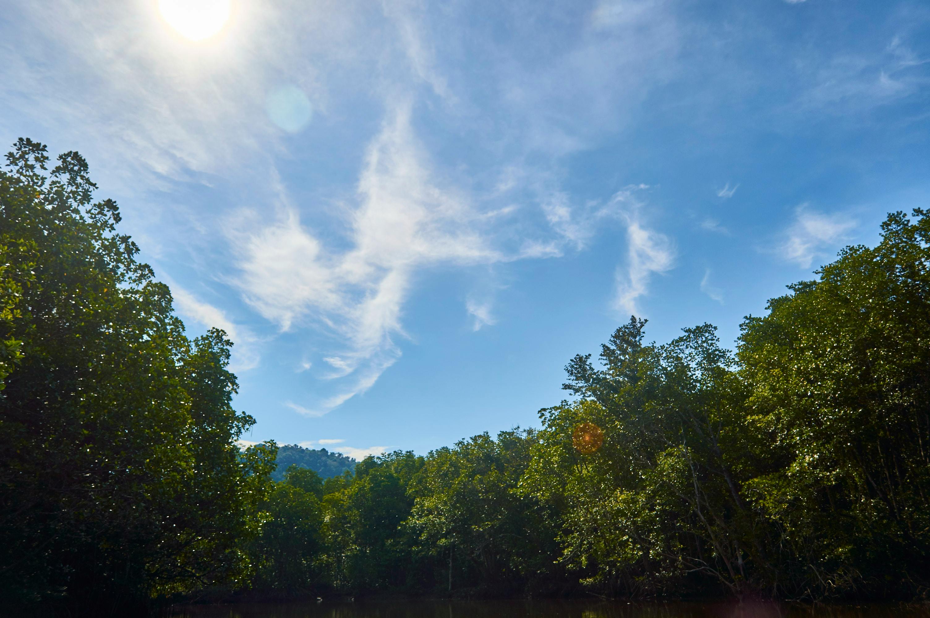 Free stock photo from Loong · Pexels - 500 x 332 jpeg 23kB