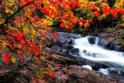 Photo of Waterfalls During Fall Season