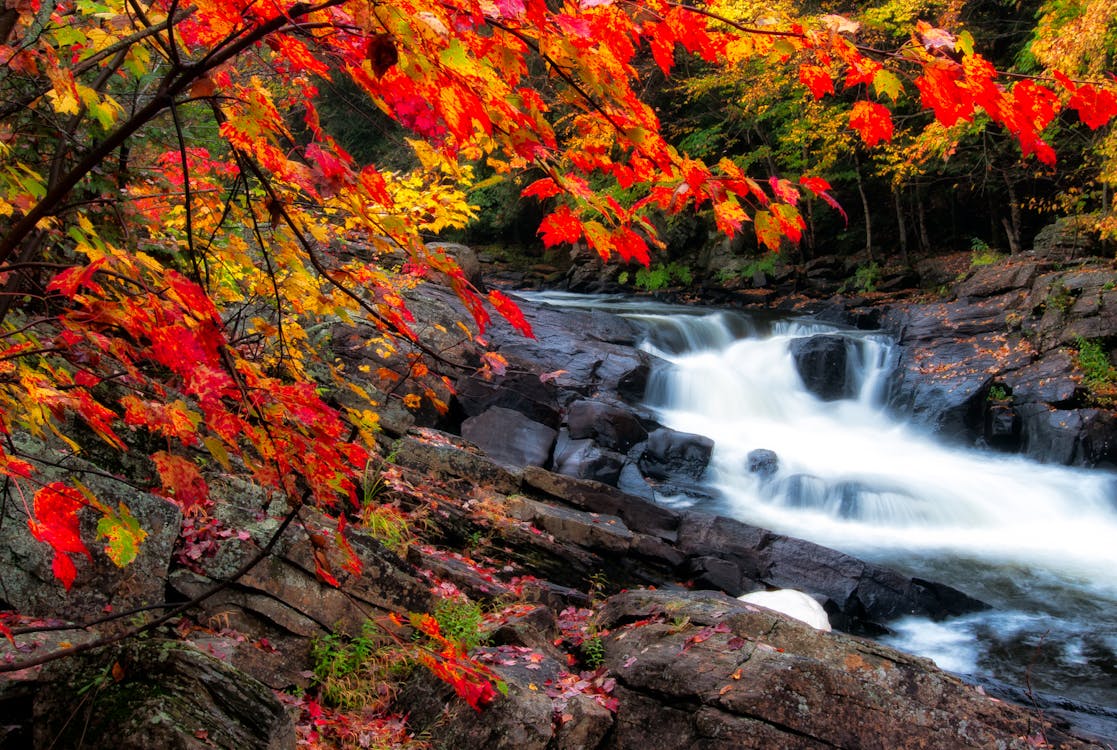 Photo of Waterfalls During Fall Season