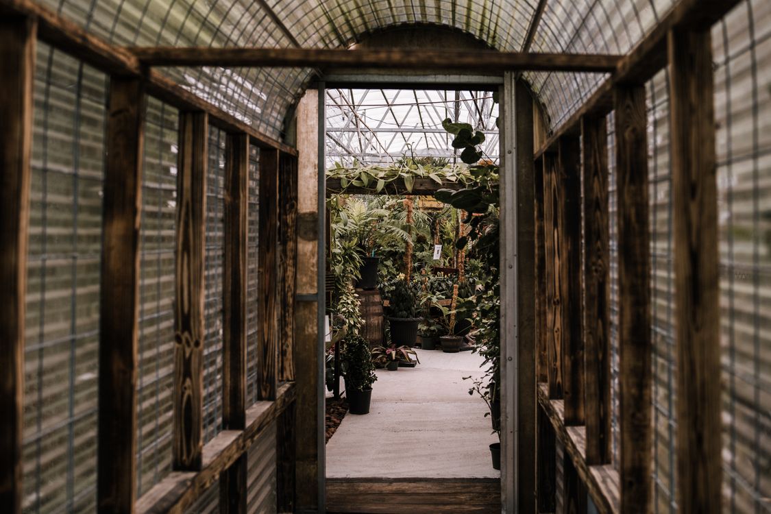 Hallway in Greenhouse with Plants · Free Stock Photo