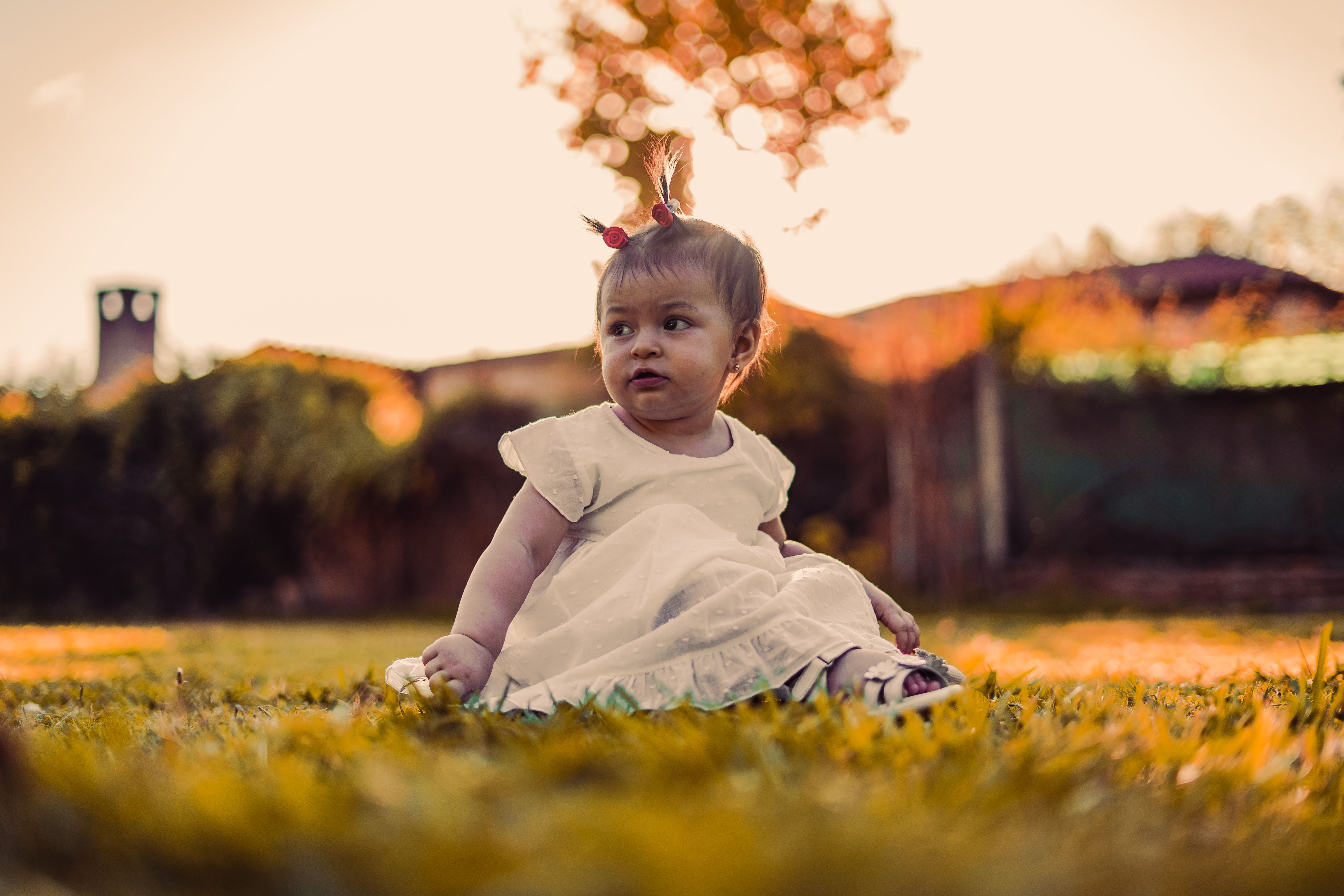 Cute Girl Sitting on Ground on Sunset · Free Stock Photo