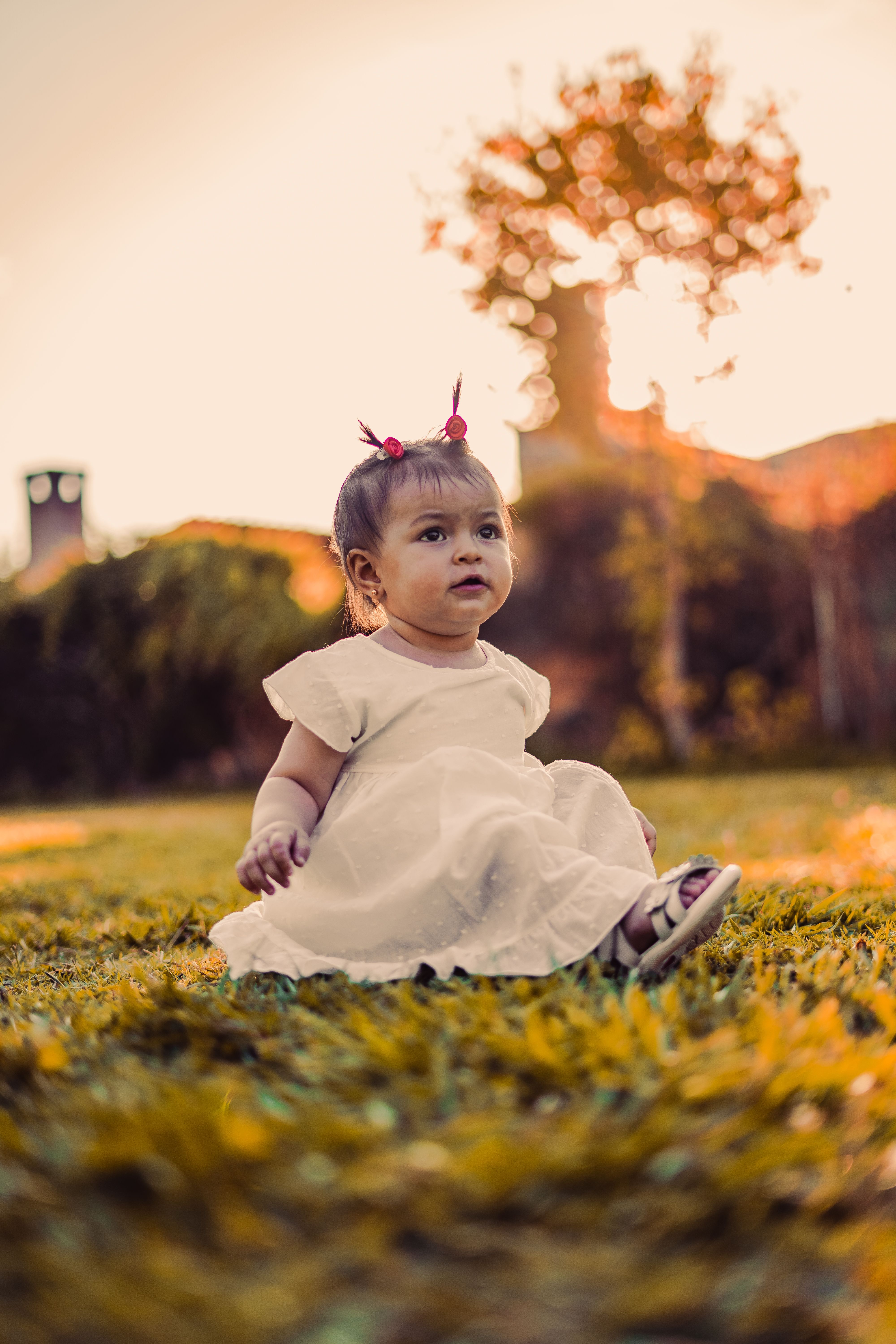 Cute Girl Sitting on Ground on Sunset · Free Stock Photo