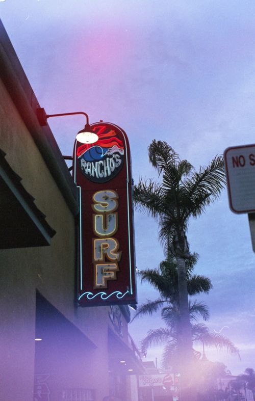 Free Retro neon surf sign glowing at sunset with palm trees in the background creating an exotic beach vibe. Stock Photo