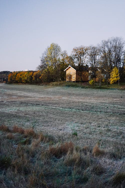 Gratis arkivbilde med åker, gård, hus