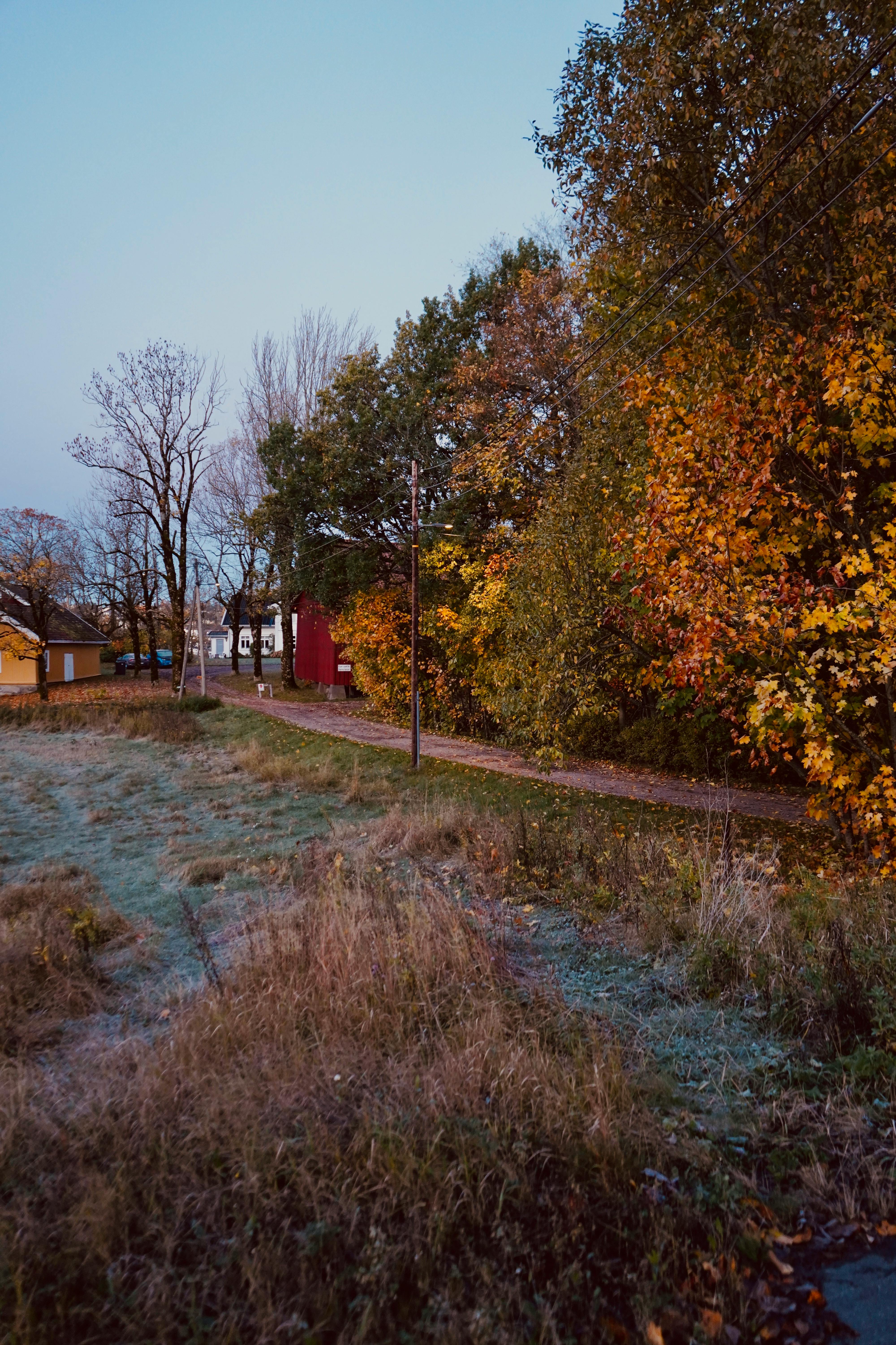 Trees Growing near Path Leading to House in Countryside · Free Stock Photo