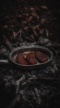 Sizzling meat slices in a pan over a rustic campfire, set in Bolu forest.