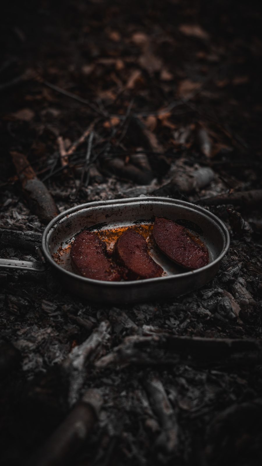 Meat searing in a pan set directly in the embers of a forest fire