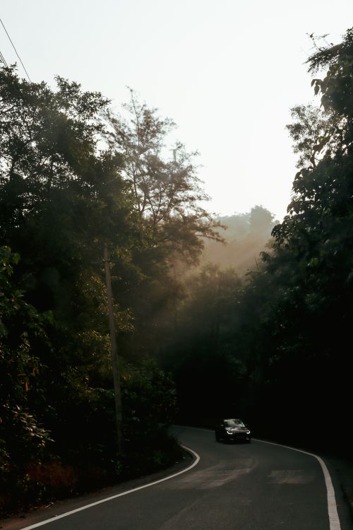 Free into the light  Stock Photo