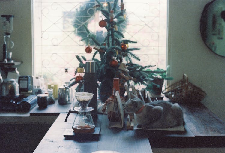 Cat On Kitchen Desk