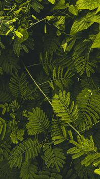 Image by Vishal Shinde