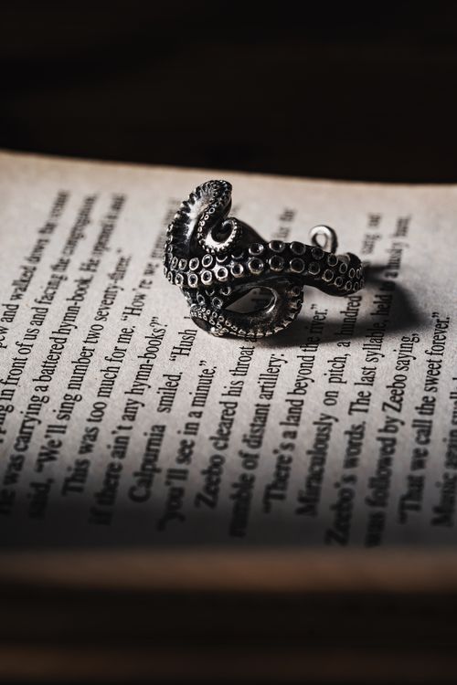 Free A detailed silver octopus ring rests on the open pages of a book, casting dramatic shadows. Stock Photo