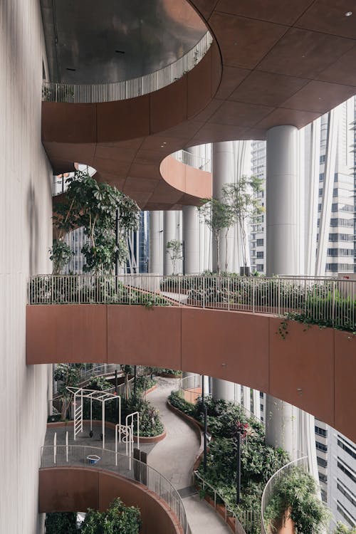垂直拍攝, 新加坡, 植物 的 免費圖庫相片