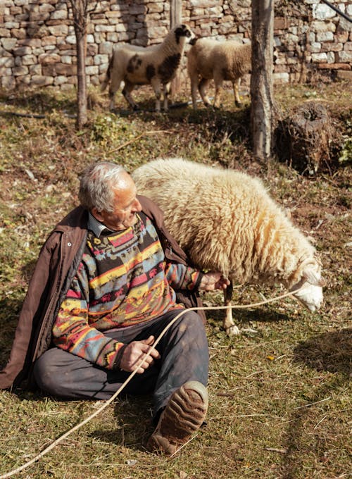 Elderly Man with a Ship on a Meadow 