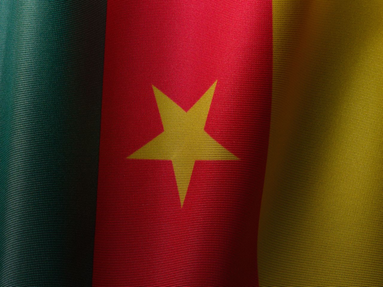 closeup of the cameroon flag showcasing vibrant colors and symbolic st