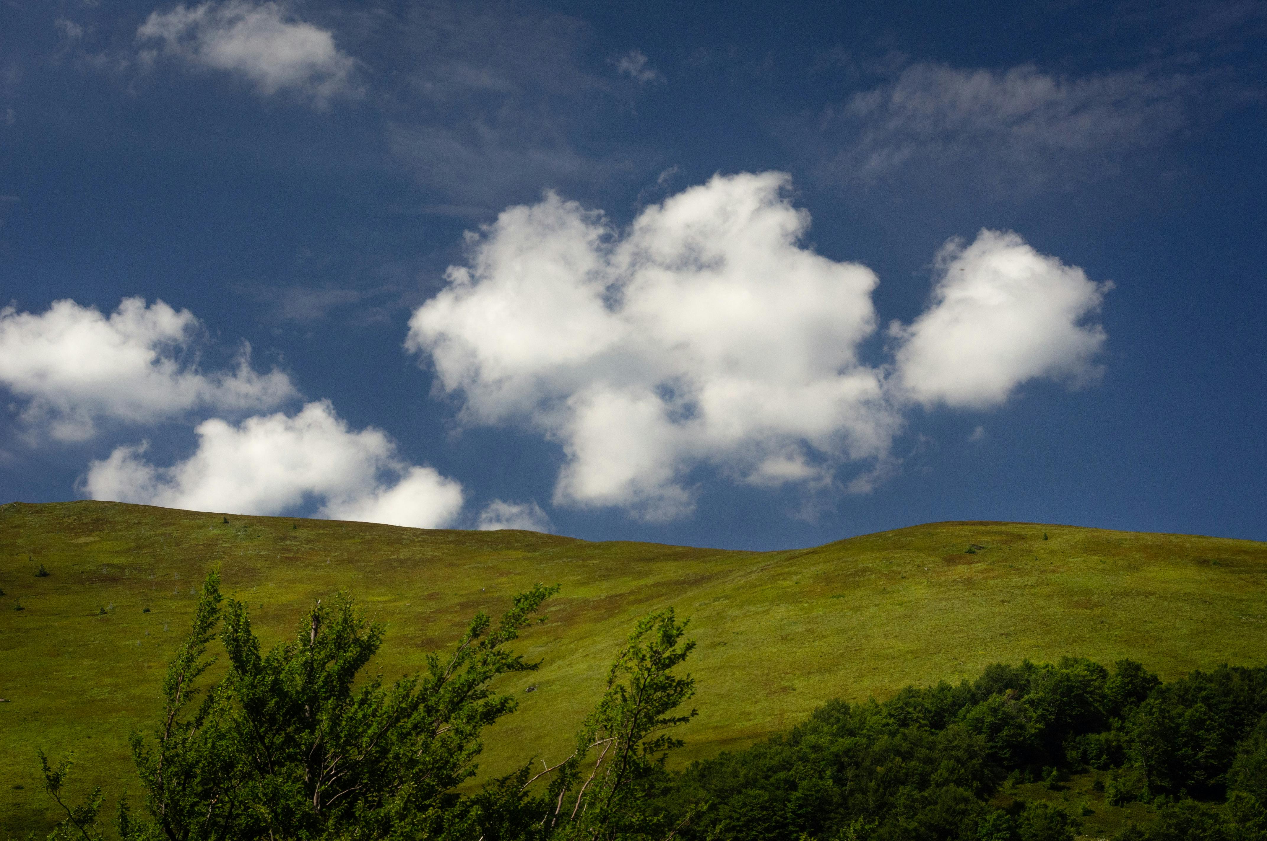 Clouds Above a Meadow · Free Stock Photo