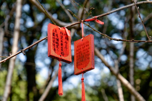 Tablets with Writings Hanging on the Branches 