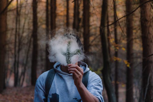 Free Man Blowing Smoke to Leaves Beside Brown Trees Stock Photo
