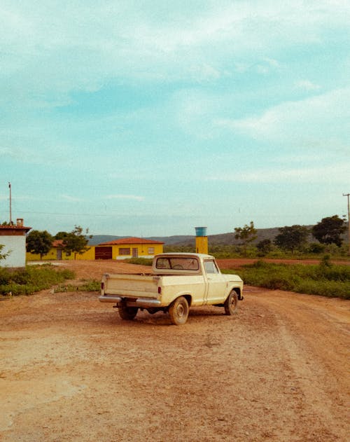 Foto d'estoc gratuïta de camí de carro, camp, d'esquena