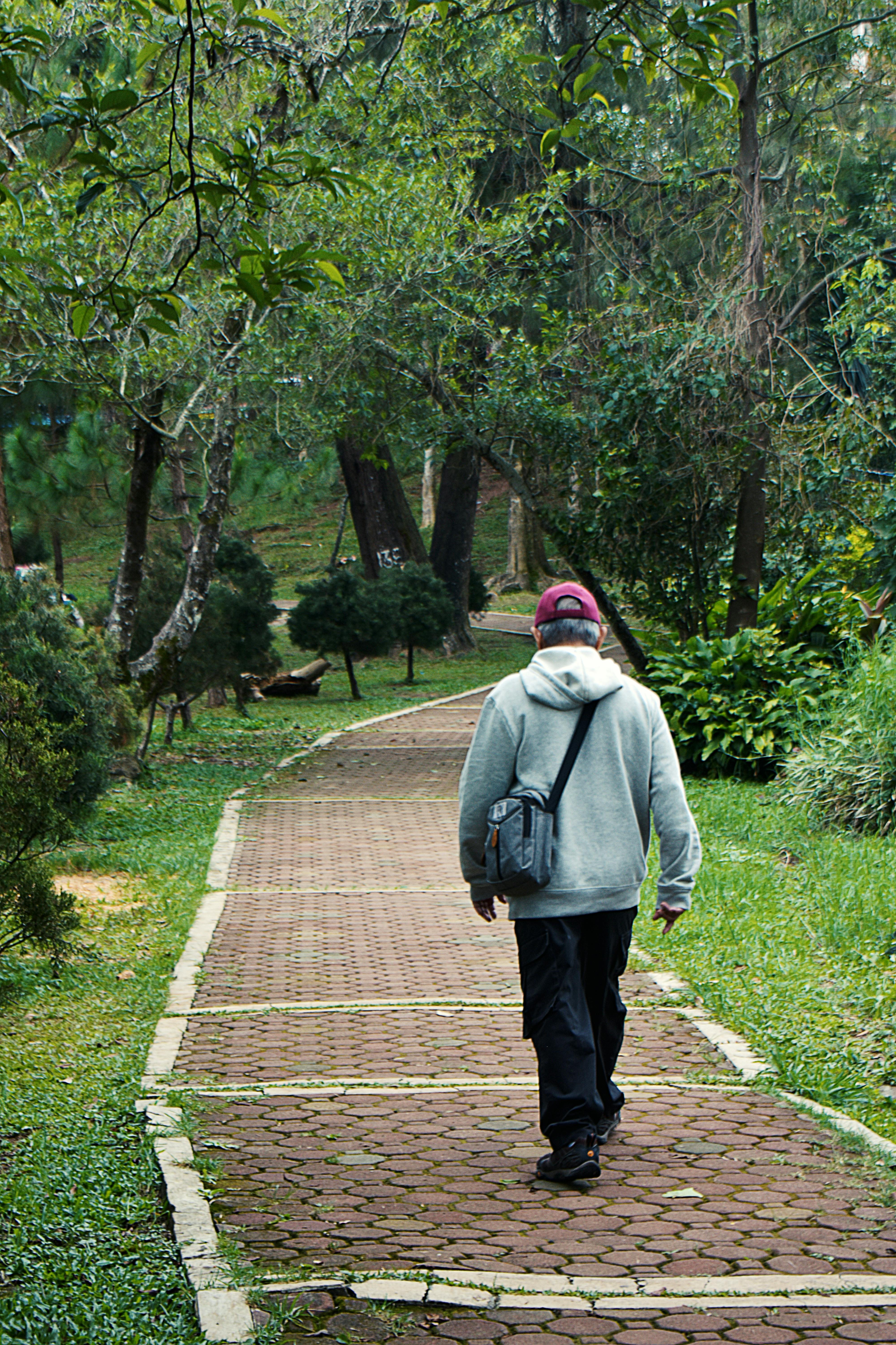 Free stock photo of foot path, man back, man walking