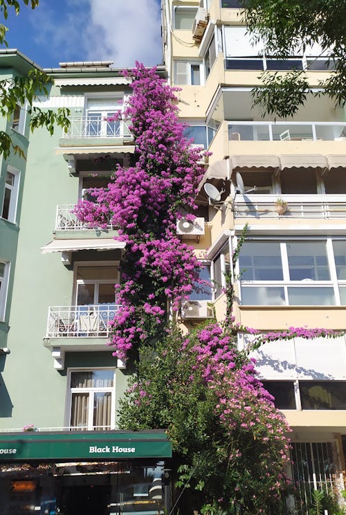 Foto d'estoc gratuïta de balcó, balcons, barri residencial