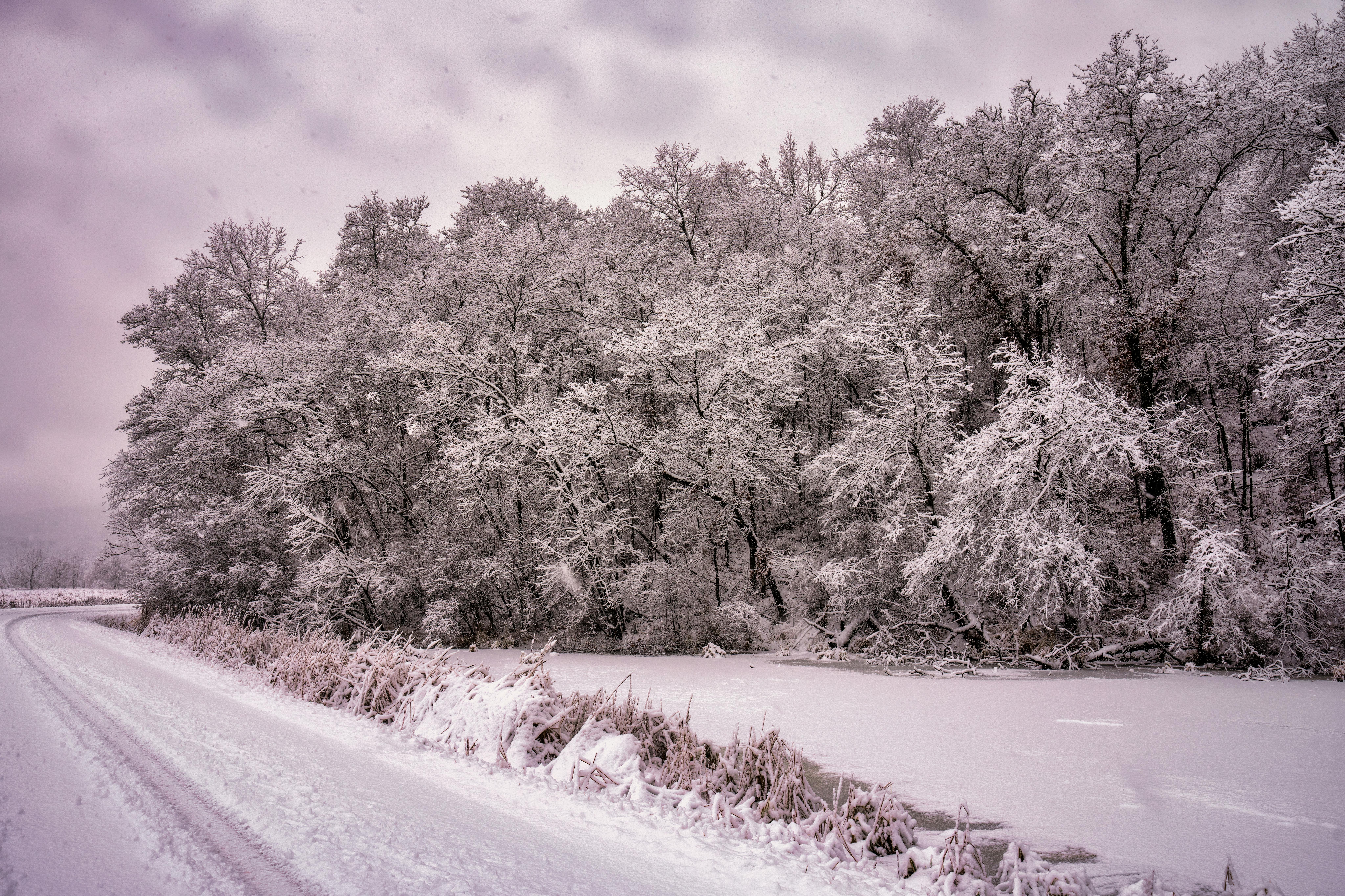 The Psychology of Revenge: What Ice Road Vengeance Teaches Us About Human Nature
