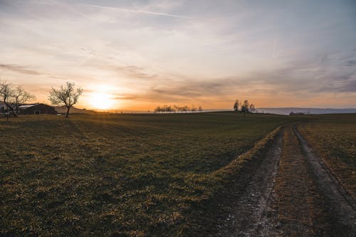 Sunset over a Field on a Countryside 
