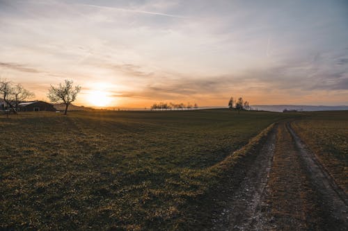 ファーム, フィールド, 夕方の無料の写真素材