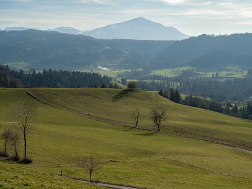 Landscape of a Green Field and Mountains in Distance 