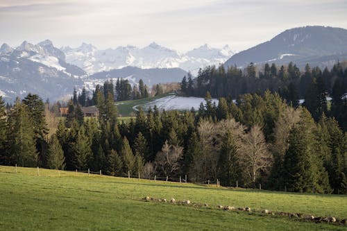 Gratis stockfoto met bergen, bergketen, bomen