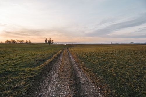 Free Serene landscape with a dirt road through fields at sunset, capturing rural tranquility. Stock Photo