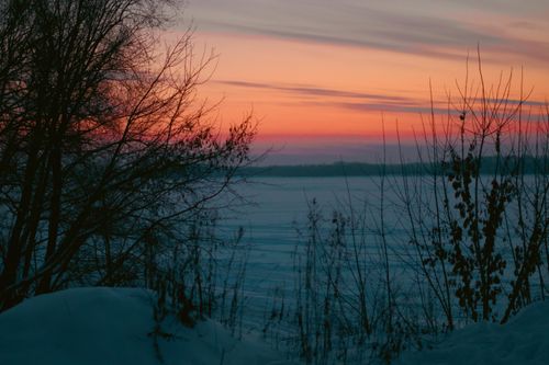 Free A tranquil winter sunrise with a vibrant sky over a snowy landscape, framed by bare trees. Stock Photo