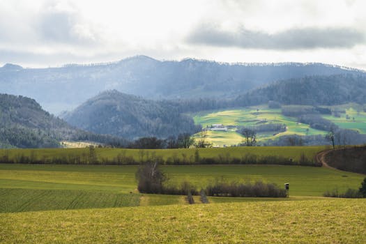 Beautiful rolling hills under an overcast sky, showcasing vibrant green fields.