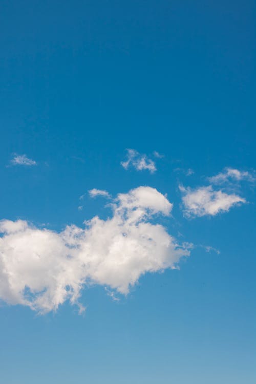 Základová fotografie zdarma na téma čisté nebe, idylický, letní