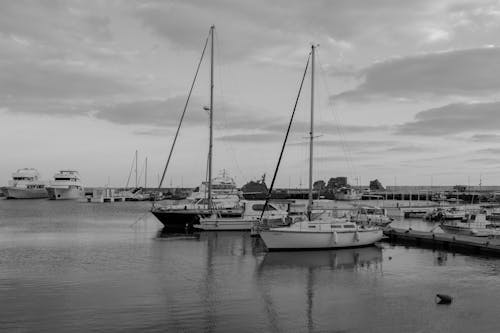 Black and White Photo of Boats in the Harbor 