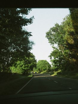 Peaceful road surrounded by vibrant green trees, ideal for travel and nature themes.