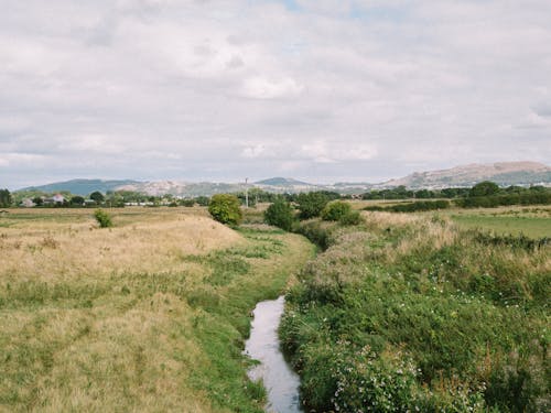 coutryside, 丘陵, 北威爾斯 的 免費圖庫相片