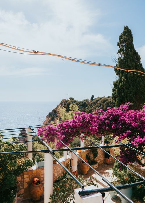 Free Beautiful garden with vibrant bougainvillea overlooking the Ionian Sea in Corfu, Greece. Perfect summer retreat. Stock Photo