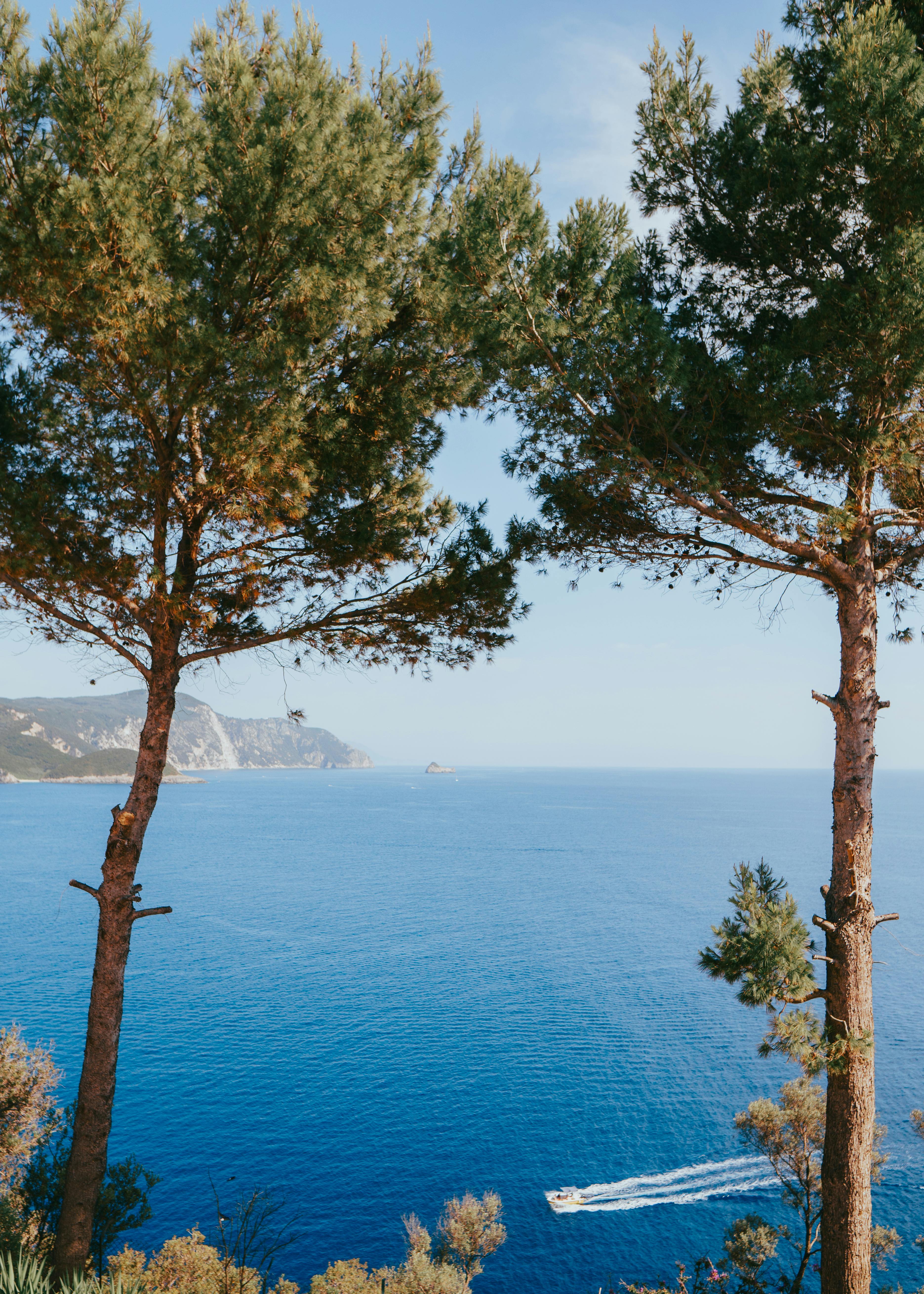 A breathtaking view of the blue Aegean Sea framed by pine trees in Kerkyra, Greece.