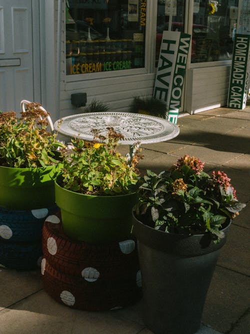 Flowers near Table on Pavement