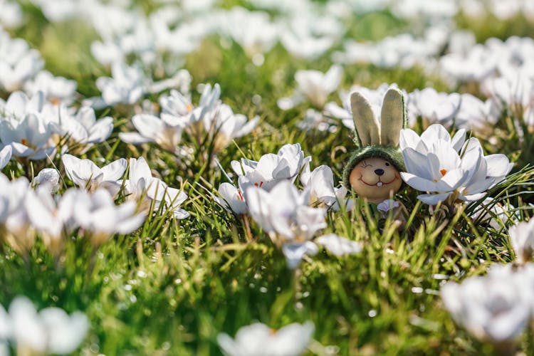 Bunny Figure In Grass 