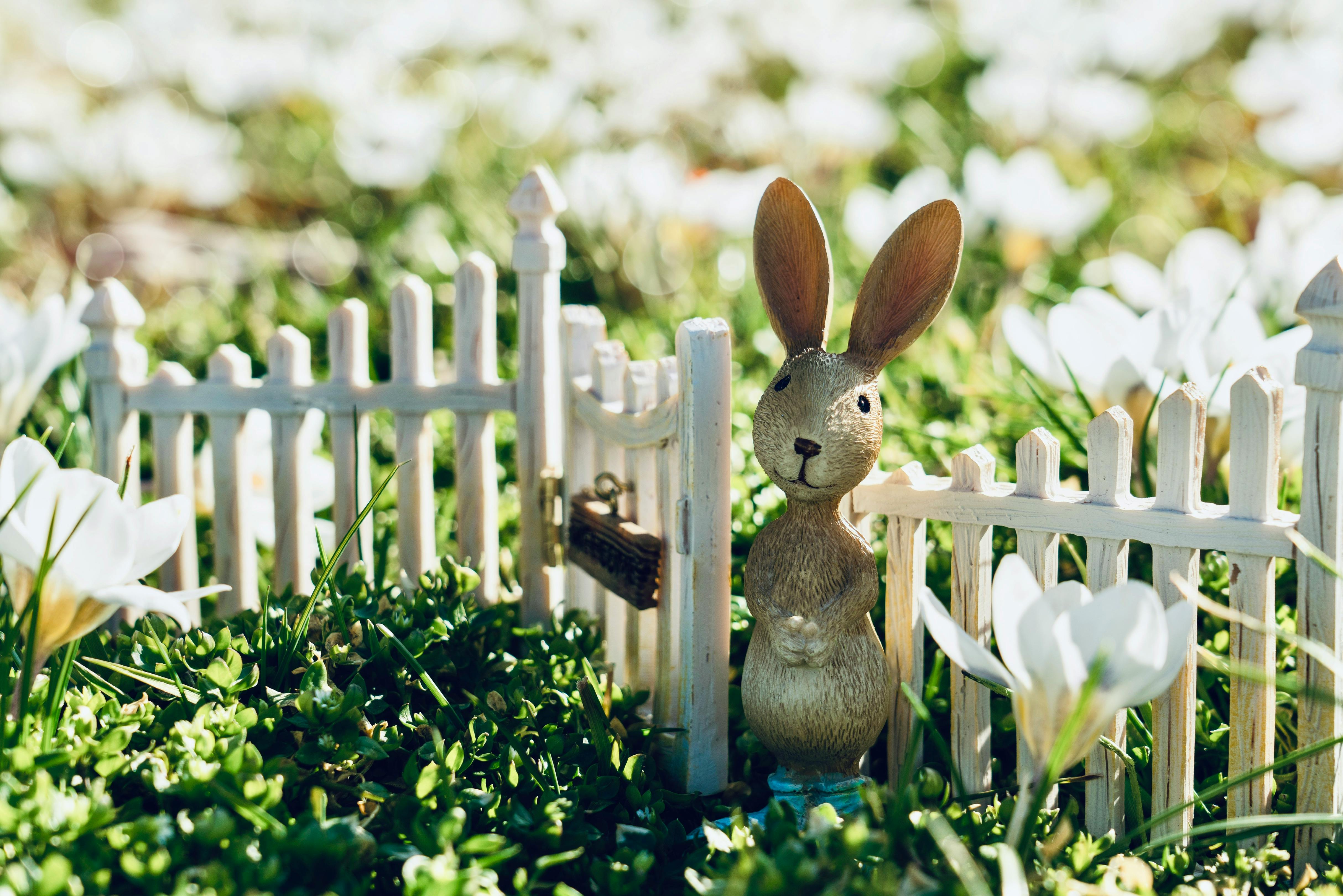 close up of bunny figurine near fence