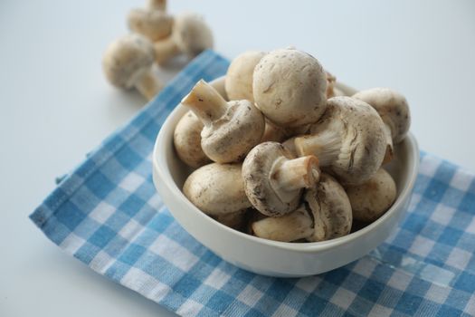 Mushroom — Champignon de Paris
