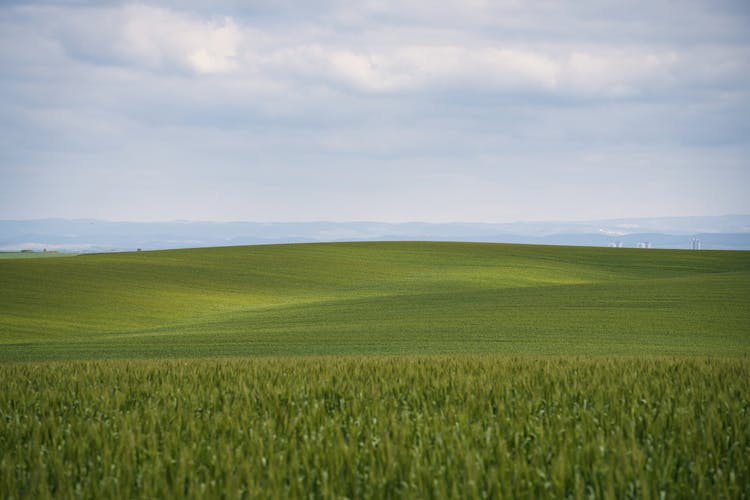 Meadow And Sky Landscape