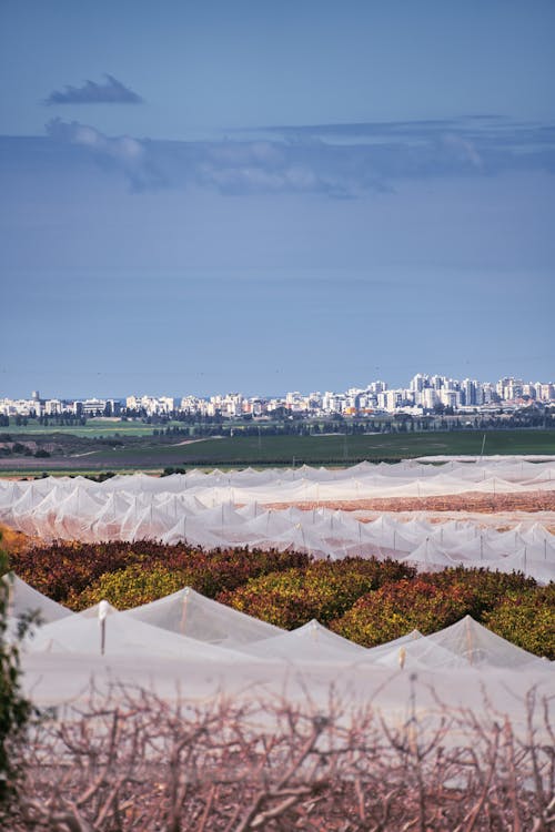 White Plastic Wrap over Field under Blue Sky