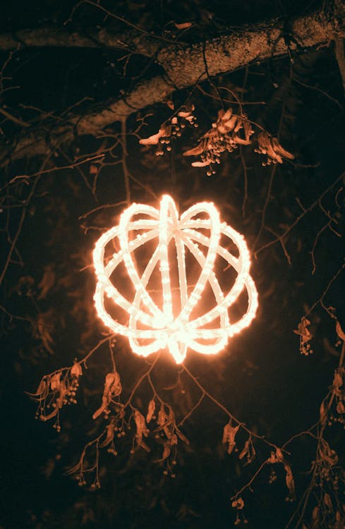 Bright Lantern Hanging from Tree