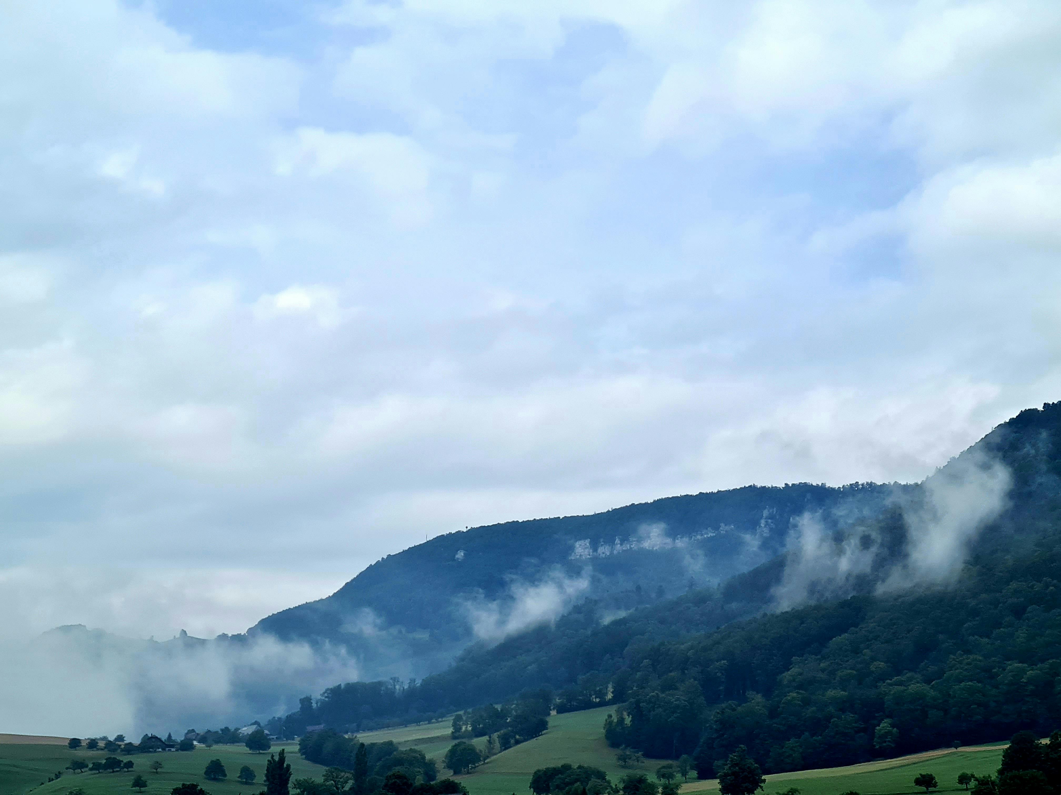아웃백 투움바 파스타와 샐러드